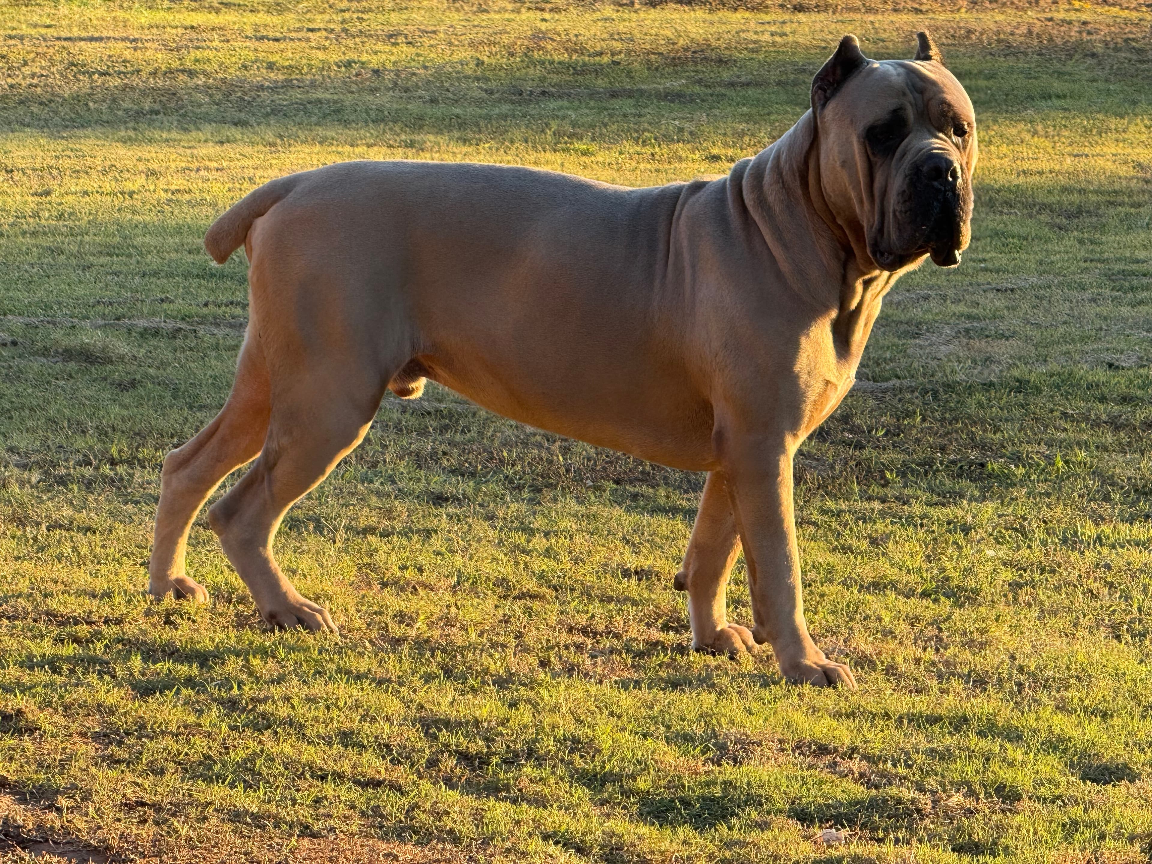 Photo of Sig