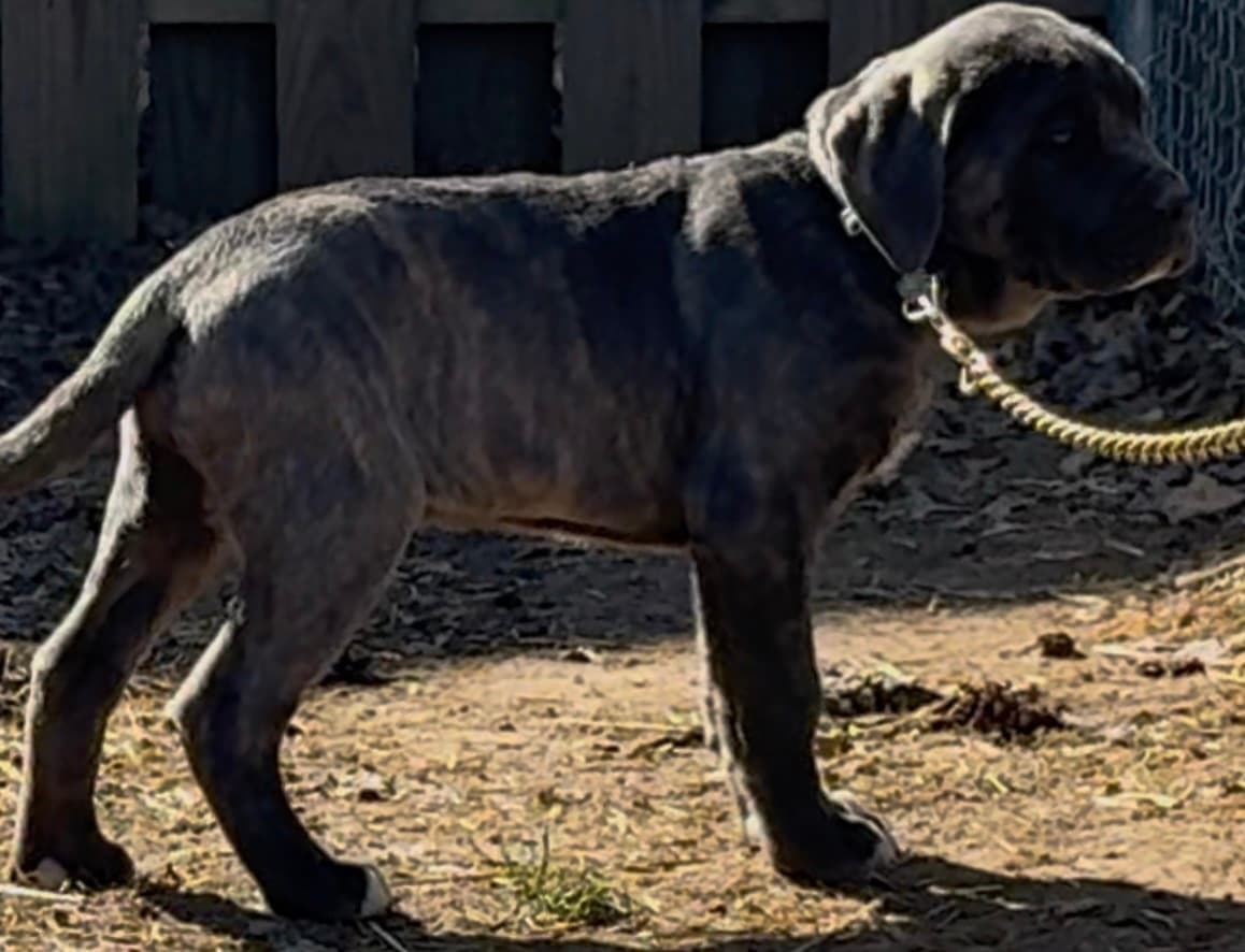 Photo of Tank