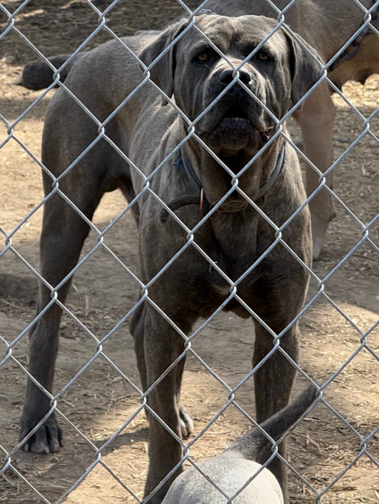Photo of Zeus