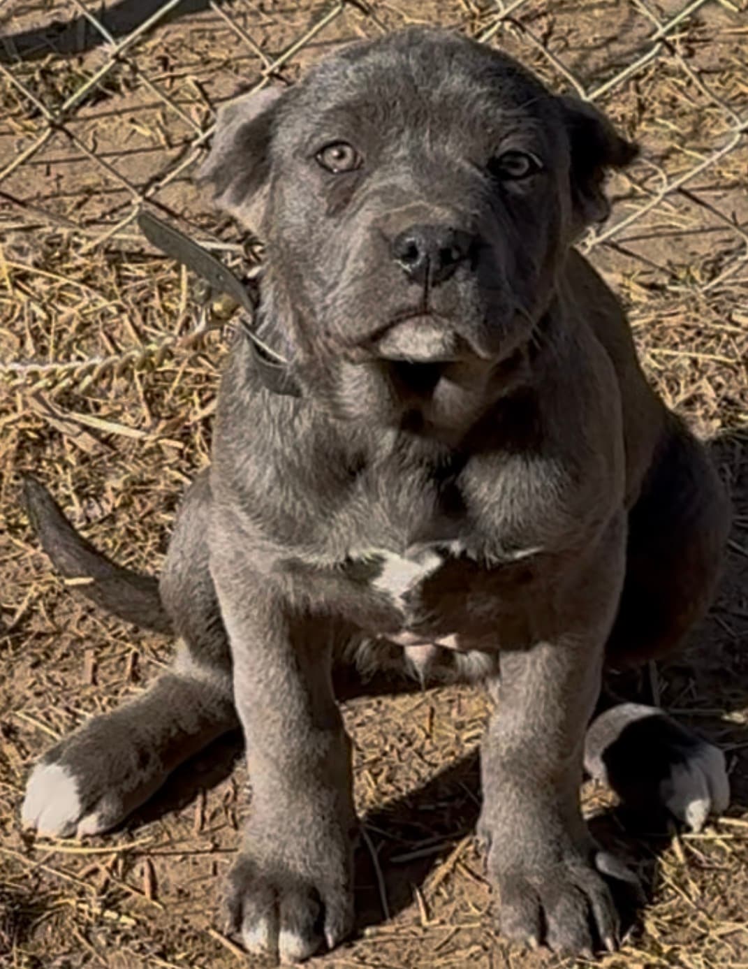 Photo of Storm