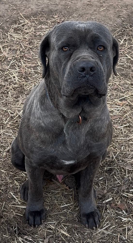 Photo of Anthony Miller